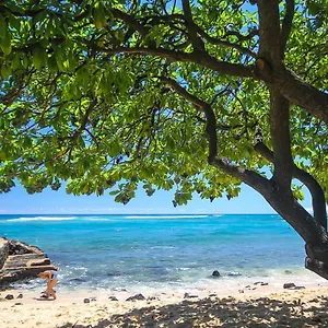 https://kuhio-shores-201.hotelsinhawaii.org